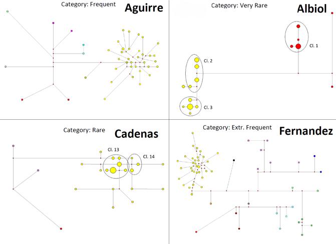 Relationship Networks