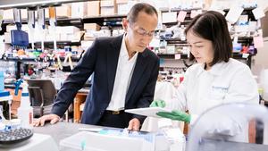 A Gene That Keeps Stem Cells on Track