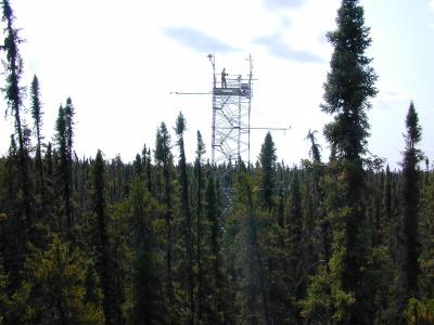 Tour-Bluets -- Flux Tower