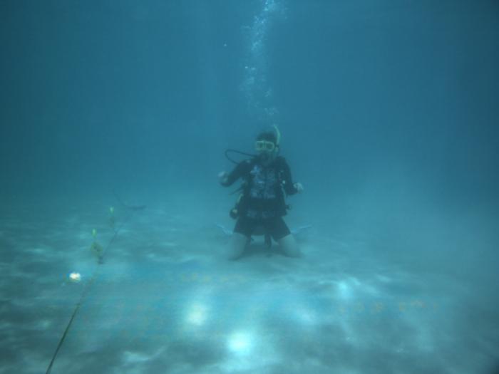 open-water experiment