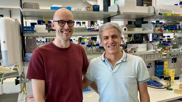 Left to right: Adrian Henggeler and Joao Matos.