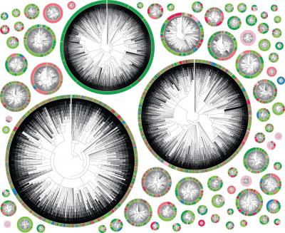 Phylogenetic trees starting with an individual cancer cell