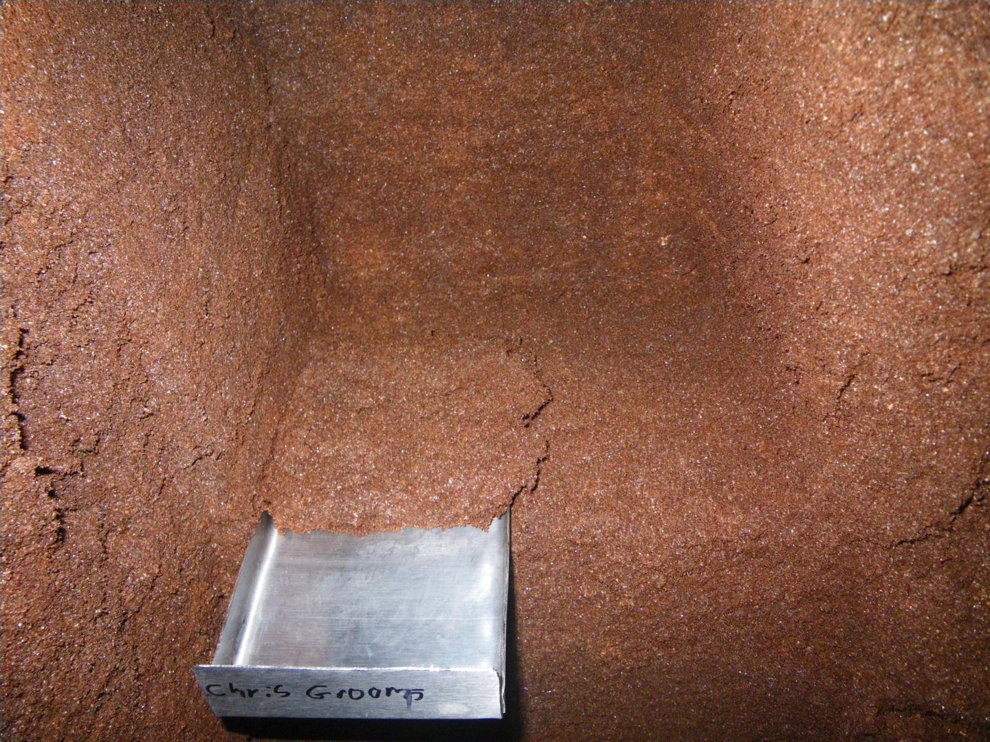 Poo Core Slice