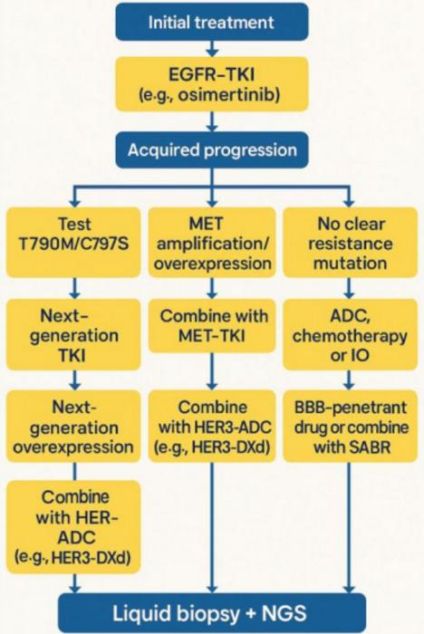 Sequential therapy strategies in oncogene-driven NSCLC.