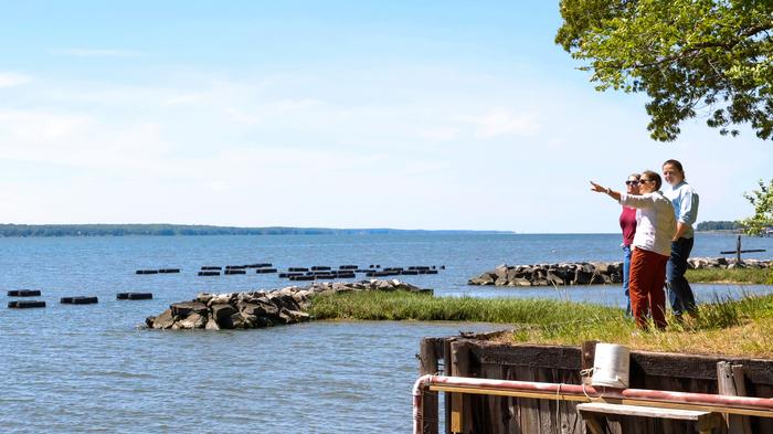 Looking Out Over Cappahosic Oyster Company