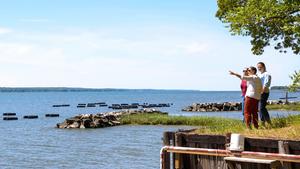 Looking Out Over Cappahosic Oyster Company