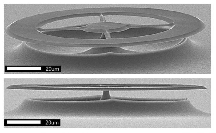 Electron Micrograph