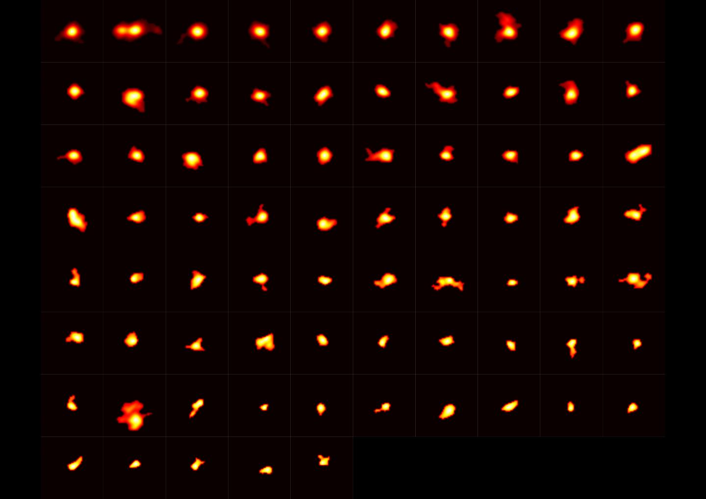 Some of the Galaxies Observed by ALMA