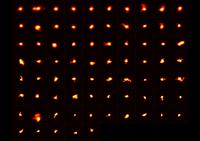 Some of the Galaxies Observed by ALMA