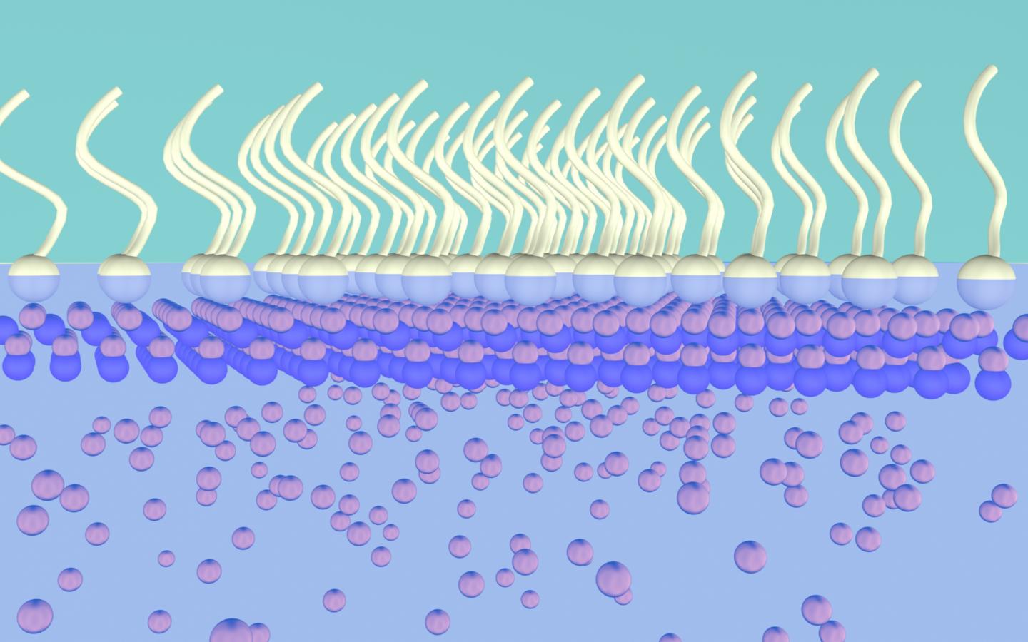 Nanosheet