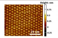 2-D Micrograph