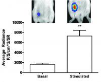 Implant Fat Uptake