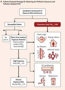 Qualitative Assessment of Exposure