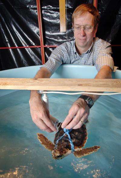 Ken Lohmann (UNC-Chapel Hill) and Turtle