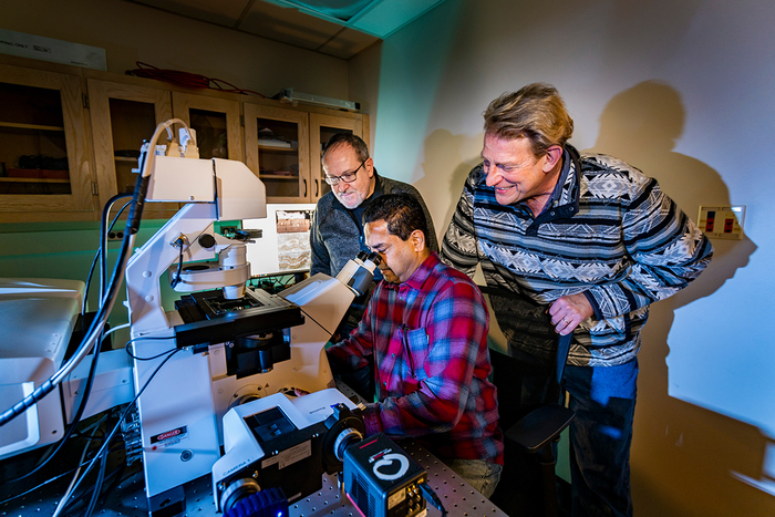 U. of I. Researchers