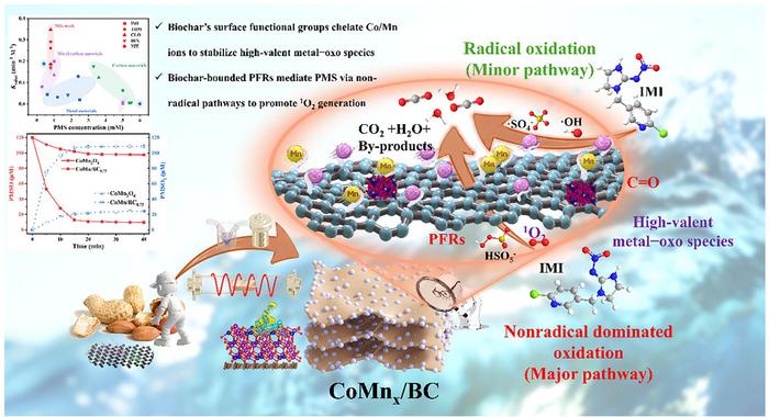 Biochar-regulated LDH-derived Co–Mn spinel for non-radical peroxymonosulfate activation: high-efficiency imidacloprid degradation dominated by high-valent metal–oxo species and singlet oxygen