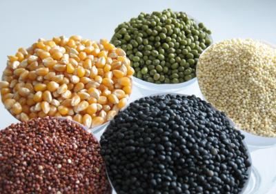 Tasty and Gluten-free