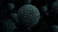 Zika