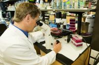 Charles Murry in Heart Repair Patch Lab