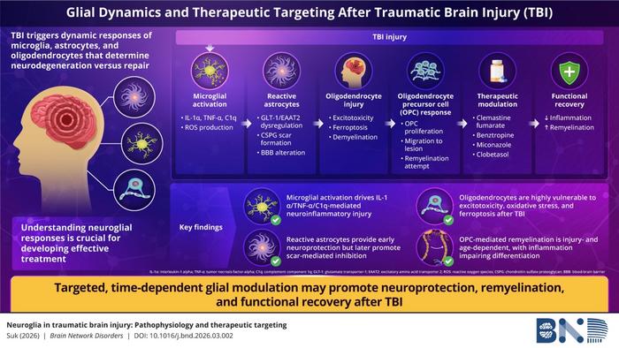 Progressive glial cell changes across traumatic brain injury severity