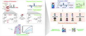 KAIST Suppresses Side Effects of mRNA Therapeutics, Broadly Applicable Platform for Safer, Personalized Treatments​