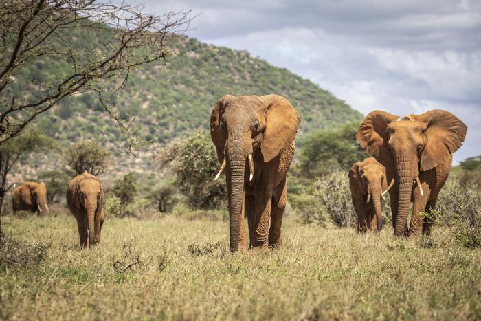 Hadithi from the Swahili ladies family in Buffalo Springs National Reserve