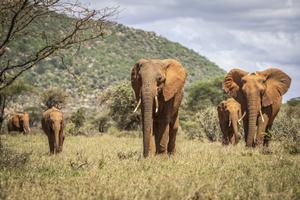 Hadithi from the Swahili ladies family in Buffalo Springs National Reserve