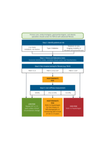 Diagnosing Liver Diseases: New CMJ Review presents Non-Invasive Methods for Better Accuracy