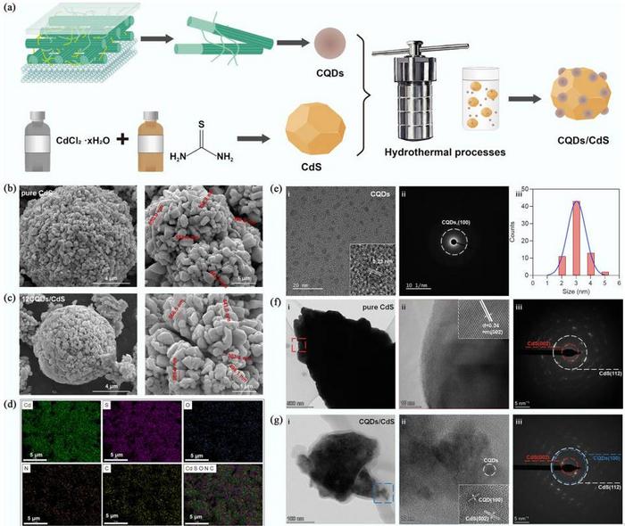 Ellulose Quantum Dots Nearly Double Solar Hydrogen Production