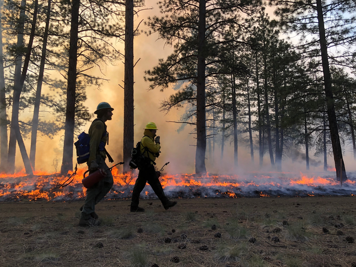 Prescribed burn