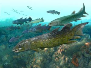 Life reconstruction of a ~410 million years old lungfish from China and the associated biota