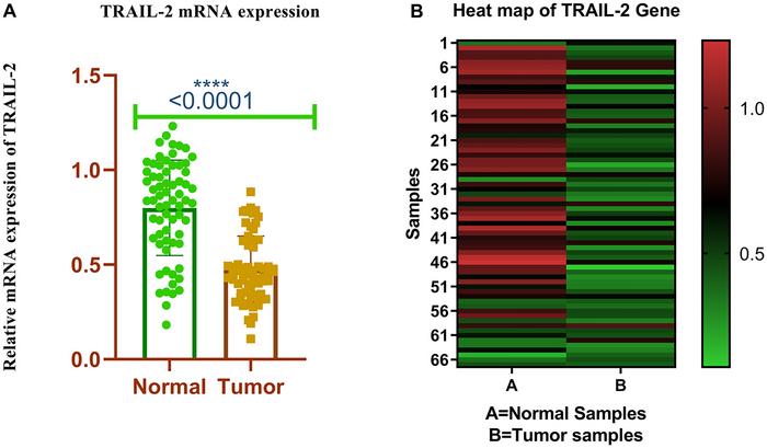 TRAIL-R2 in the shadows: Epigenetic silencing and clinical implications in breast cancer