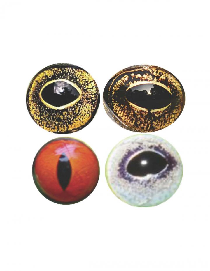 Frog Eyes