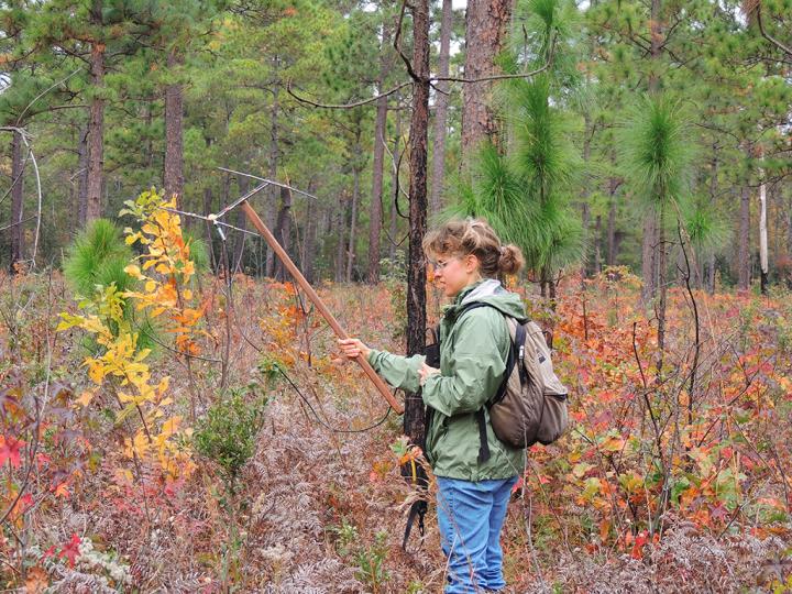 Snake Tracking