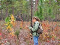 Snake Tracking