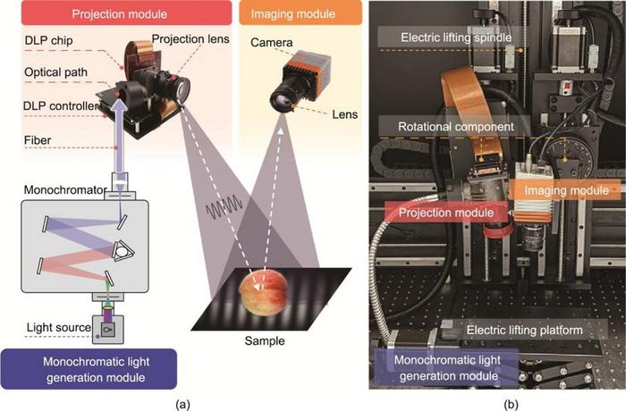 Tunable Wavelength SFDI Platform Enables Broad-Spectrum Fruit Optical Property Measurement