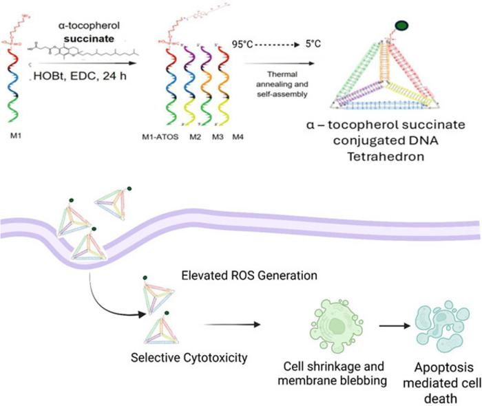 Alpha-Tocopherol-Conjugated DNA Tetrahedron with Enhanced Cellular Uptake and Cytotoxicity