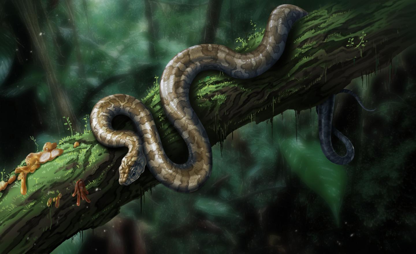 Oldest Baby Snake Fossil Found Preserved in Myanmar Amber (1 of 12)