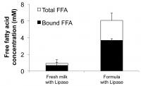 Infant Formula Digestion