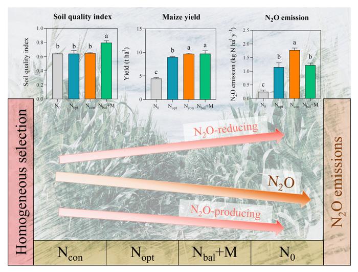 Integrated manure application enhances soil quality and reduces nitrous oxide emissions by deterministically shaping N cycling guilds