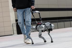 Robot dog with user
