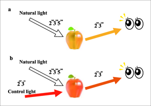 Design of a smart lighting system