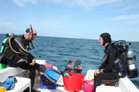 Research Divers at the Seaweed Farm off Puerto Rico