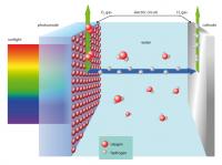 How the Moth's Eye Cell Produces Hydrogen