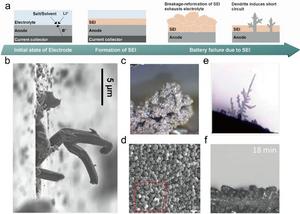 Dendrite formation stages and diverse morphologies