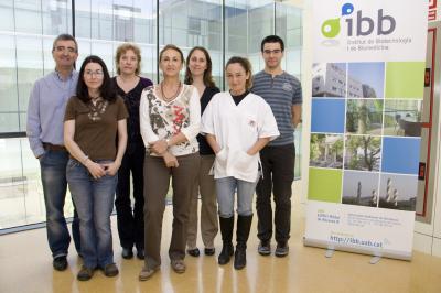 The Research Team at UAB