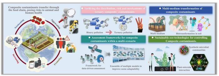 Composite contaminations dilemma in facility agriculture: pollution characteristics, risk assessment, and sustainable control strategies