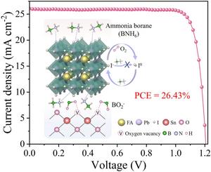 Ammonia Borane All‑In‑One Modification Strategy Enables High‑Performance Perovskite Solar Cells