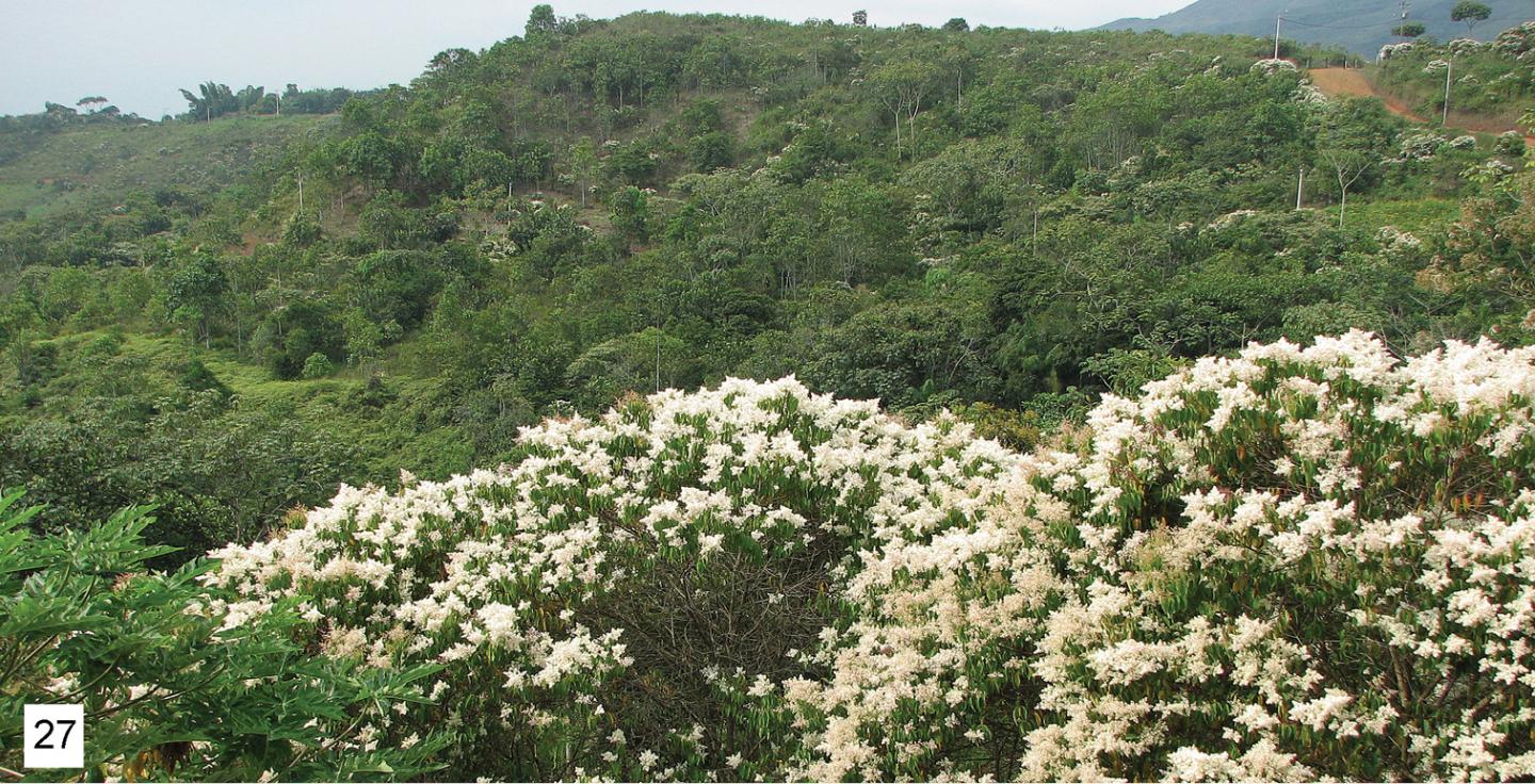 Loma Larga