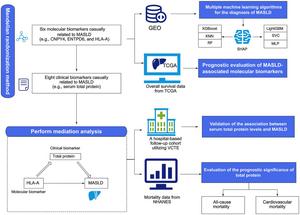 Biomarker Discovery for Metabolic Dysfunction-associated Steatotic Liver Disease Utilizing Mendelian Randomization, Machine Learning, and External Validation
